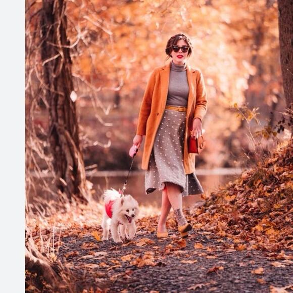 ANTHROPOLOGIE Maeve Polkadot Skirt - Picture 1 of 11